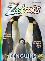 Ranger Rick Zoobooks